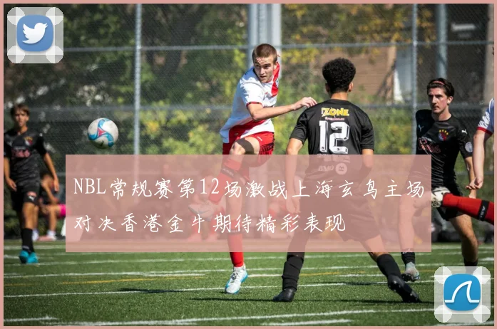 NBL常规赛第12场激战上海玄鸟主场对决香港金牛期待精彩表现
